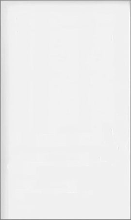 Flush Steel Insulated Entry Door Slab 42" x 80" Nominal Size