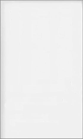 Flush Steel Insulated Entry Door Slab 42" x 80" Nominal Size